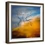 Branches-Ursula Abresch-Framed Photographic Print