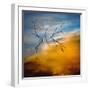 Branches-Ursula Abresch-Framed Photographic Print