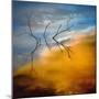 Branches-Ursula Abresch-Mounted Photographic Print