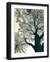 Branching Out II-Debra Van Swearingen-Framed Photographic Print