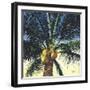 Branching Out-Scott Westmoreland-Framed Art Print