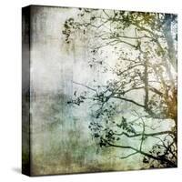 Branching Out-Christine O’Brien-Stretched Canvas