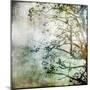 Branching Out-Christine O’Brien-Mounted Giclee Print