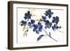 Branching Outward-Danhui Nai-Framed Art Print