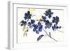 Branching Outward-Danhui Nai-Framed Art Print