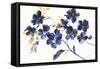 Branching Outward-Danhui Nai-Framed Stretched Canvas