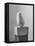 Brancusi Sculpture on Exhibit at the Guggenheim Museum-Nina Leen-Framed Stretched Canvas