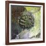 Brandberg Massif, Namibia-null-Framed Giclee Print