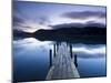 Brandelhow Bay Jetty, Derwentwater, Keswick, Lake District, Cumbria, England-Gavin Hellier-Mounted Photographic Print