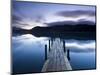 Brandelhow Bay Jetty, Derwentwater, Keswick, Lake District, Cumbria, England-Gavin Hellier-Mounted Photographic Print