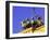 Brandenburg Gate Quadriga, Unter Den Linden, Berlin, Germany-Walter Bibikow-Framed Premium Photographic Print