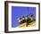 Brandenburg Gate Quadriga, Unter Den Linden, Berlin, Germany-Walter Bibikow-Framed Photographic Print