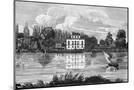 Wood Mount