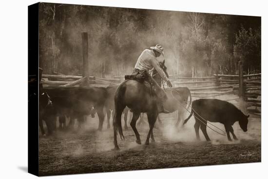 Branding at Lost Canyon-Barry Hart-Stretched Canvas