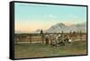 Branding Calves near El Paso, Texas-null-Framed Stretched Canvas