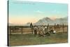 Branding Calves near El Paso, Texas-null-Stretched Canvas