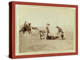 Branding Calves on Roundup-John C. H. Grabill-Stretched Canvas