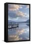 Brandlehow Bay, Borrowdale, Lake Derwent Water at daybreak, Lake District Nat'l Park, England-John Potter-Framed Stretched Canvas