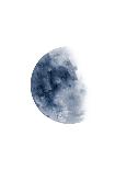 Full Moon-Brandon Wong-Framed Art Print