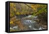 Brandywine Creek Gorge in Autumn in Cuyahoga National Park, Ohio, USA-Chuck Haney-Framed Stretched Canvas