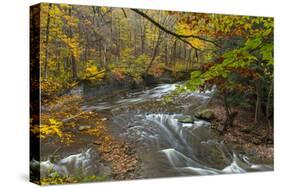 Brandywine Creek Gorge in Autumn in Cuyahoga National Park, Ohio, USA-Chuck Haney-Stretched Canvas