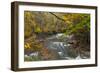 Brandywine Creek Gorge in Autumn in Cuyahoga National Park, Ohio, USA-Chuck Haney-Framed Photographic Print