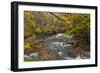 Brandywine Creek Gorge in Autumn in Cuyahoga National Park, Ohio, USA-Chuck Haney-Framed Photographic Print