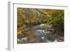 Brandywine Creek Gorge in Autumn in Cuyahoga National Park, Ohio, USA-Chuck Haney-Framed Photographic Print