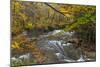 Brandywine Creek Gorge in Autumn in Cuyahoga National Park, Ohio, USA-Chuck Haney-Mounted Photographic Print