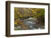 Brandywine Creek Gorge in Autumn in Cuyahoga National Park, Ohio, USA-Chuck Haney-Framed Photographic Print