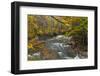 Brandywine Creek Gorge in Autumn in Cuyahoga National Park, Ohio, USA-Chuck Haney-Framed Photographic Print