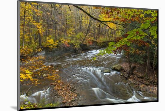 Brandywine Creek Gorge in Autumn in Cuyahoga National Park, Ohio, USA-Chuck Haney-Mounted Photographic Print