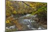 Brandywine Creek Gorge in Autumn in Cuyahoga National Park, Ohio, USA-Chuck Haney-Mounted Photographic Print