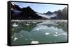 Brash Ice from the Waggonbreen Glacier, Magdalenefjord, Svalbard-David Lomax-Framed Stretched Canvas