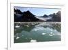 Brash Ice from the Waggonbreen Glacier, Magdalenefjord, Svalbard-David Lomax-Framed Photographic Print