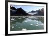 Brash Ice from the Waggonbreen Glacier, Magdalenefjord, Svalbard-David Lomax-Framed Photographic Print