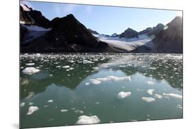 Brash Ice from the Waggonbreen Glacier, Magdalenefjord, Svalbard-David Lomax-Mounted Photographic Print