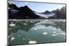 Brash Ice from the Waggonbreen Glacier, Magdalenefjord, Svalbard-David Lomax-Mounted Photographic Print