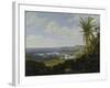 Brasilian Landscape with Anteater. Probably 1649-Frans Post-Framed Giclee Print