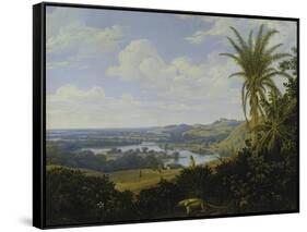 Brasilian Landscape with Anteater. Probably 1649-Frans Post-Framed Stretched Canvas