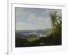 Brasilian Landscape with Anteater. Probably 1649-Frans Post-Framed Giclee Print