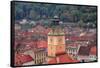 Brasov, Romania. Rooftops and city from hilltop. Clock tower.-Emily Wilson-Framed Stretched Canvas