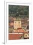 Brasov, Romania. Rooftops and city from hilltop.-Emily Wilson-Framed Premium Photographic Print