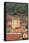 Brasov, Romania. Rooftops and city from hilltop.-Emily Wilson-Framed Stretched Canvas