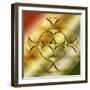 Brass Design 9-Art Deco Designs-Framed Giclee Print