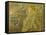 Brass to Sir Nicholas Dagworth, 1401-null-Framed Stretched Canvas