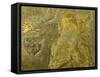 Brass to Sir Nicholas Dagworth, 1401-null-Framed Stretched Canvas