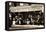 Brasserie Balzar, 49 Rue Des Écoles, Paris, 1920-null-Framed Stretched Canvas