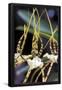 Essential Black