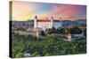 Bratislava Castle, Slovakia-TTstudio-Stretched Canvas